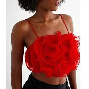 💥STUNNING💥BLOGGER'S FAV 3D ART TULLE CROPPED TOP IN SCARLET tRED